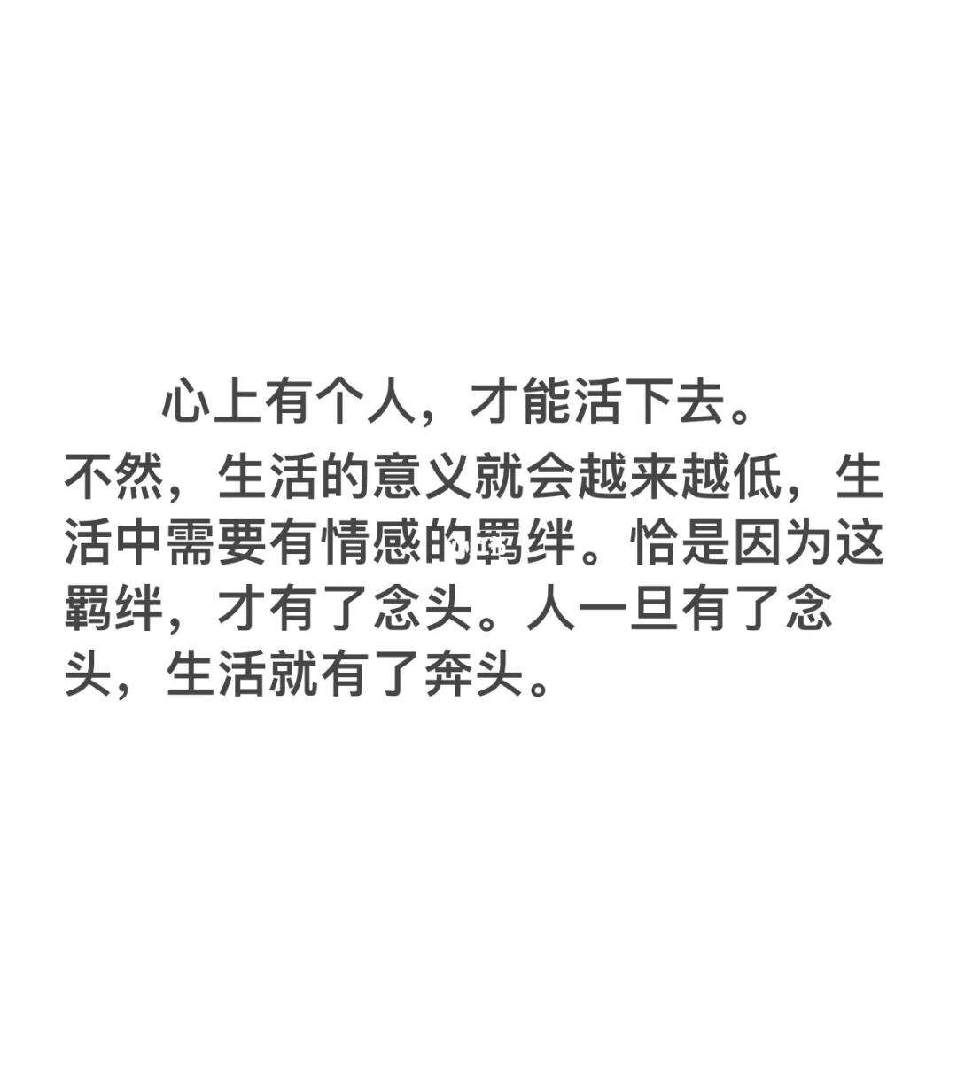 球场上的白热战，我们为什么那么着迷